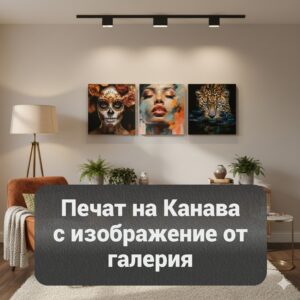 Canava